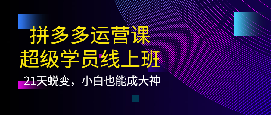 拼多多运营课：超级学员线上班，21天蜕变，小白也能成大神副业工作-副业资源站-副业项目-创业项目-搞钱项目个人副业工作资源分享