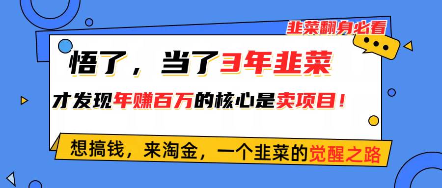 悟了，当了3年韭菜，才发现网赚圈年赚100万的核心是卖项目，含泪分享！副业工作-副业资源站-副业项目-创业项目-搞钱项目个人副业工作资源分享