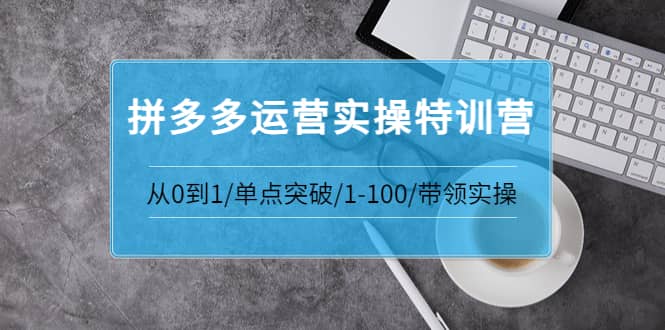 拼多多运营实操特训营：从0到1/单点突破/1-100/带领实操 价值2980元副业工作-副业资源站-副业项目-创业项目-搞钱项目个人副业工作资源分享