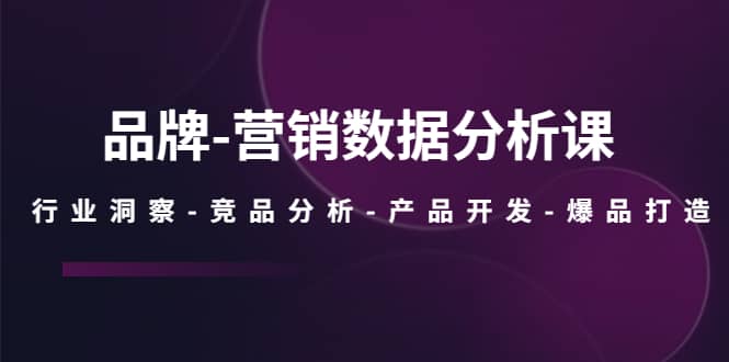 品牌-营销数据分析课，行业洞察-竞品分析-产品开发-爆品打造副业工作-副业资源站-副业项目-创业项目-搞钱项目个人副业工作资源分享