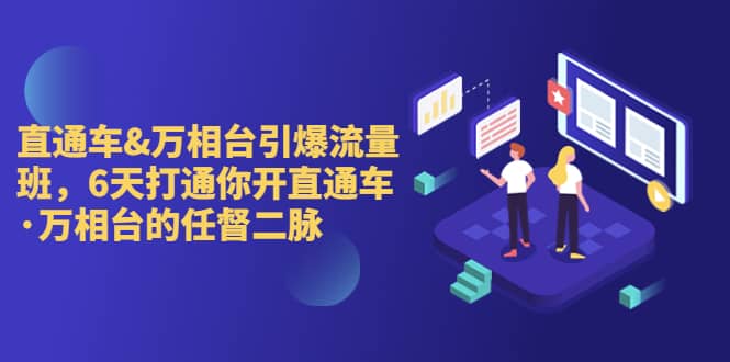 直通车+万相台引爆流量班，6天打通你开直通车·万相台的任督 二脉副业工作-副业资源站-副业项目-创业项目-搞钱项目个人副业工作资源分享