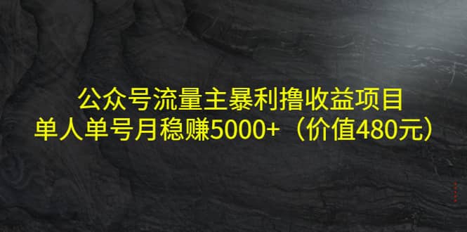 公众号流量主暴利撸收益项目，单人单号月稳赚5000+（价值480元）副业工作-副业资源站-副业项目-创业项目-搞钱项目个人副业工作资源分享