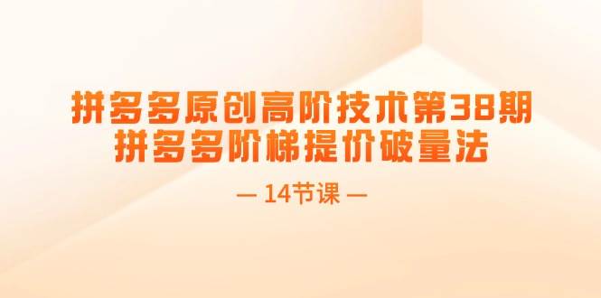 拼多多原创高阶技术第38期，拼多多阶梯提价破量法（14节课）副业工作-副业资源站-副业项目-创业项目-搞钱项目个人副业工作资源分享
