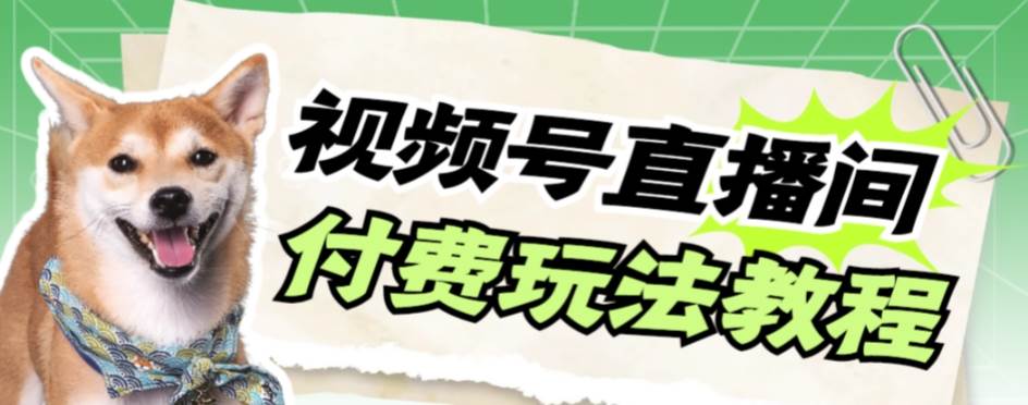 视频号美女付费无人直播，轻松日入500+【详细玩副业工作-副业资源站-副业项目-创业项目-搞钱项目个人副业工作资源分享