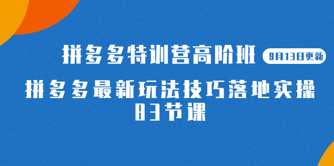 2023拼多多·特训营高阶班【9月13日更新】拼多多最新玩法技巧落地实操-83节副业工作-副业资源站-副业项目-创业项目-搞钱项目个人副业工作资源分享