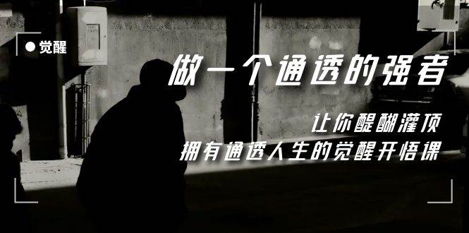 觉醒-做一个通透强者，让你醍醐灌顶，拥有通透人生，掌握强大的秘密副业工作-副业资源站-副业项目-创业项目-搞钱项目个人副业工作资源分享