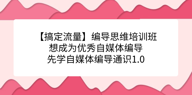 【搞定流量】编导思维培训班，想成为优秀自媒体编导先学自媒体编导通识1.0副业工作-副业资源站-副业项目-创业项目-搞钱项目个人副业工作资源分享