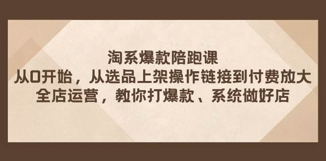 淘系爆款陪跑课 从选品上架操作链接到付费放大 全店运营 打爆款 系统做好店副业工作-副业资源站-副业项目-创业项目-搞钱项目个人副业工作资源分享