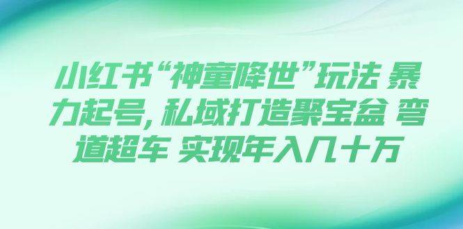 小红书“神童降世”玩法 暴力起号,私域打造聚宝盆 弯道超车 实现年入几十万副业工作-副业资源站-副业项目-创业项目-搞钱项目个人副业工作资源分享