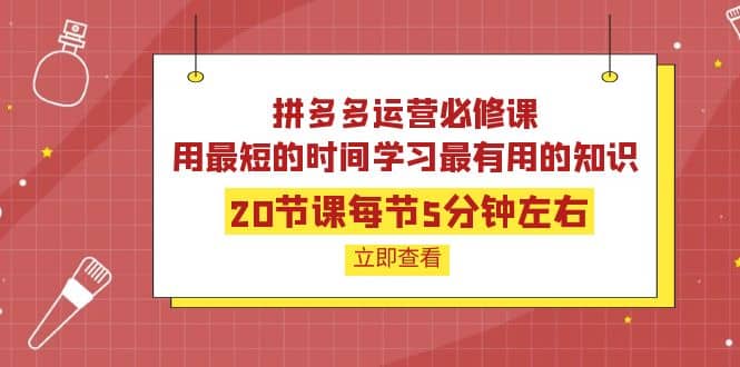 拼多多运营必修课：20节课每节5分钟左右，用最短的时间学习最有用的知识副业工作-副业资源站-副业项目-创业项目-搞钱项目个人副业工作资源分享