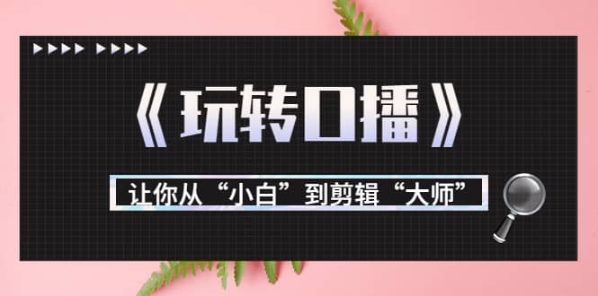 月营业额700万+大佬教您《玩转口播》让你从“小白”到剪辑“大师”副业工作-副业资源站-副业项目-创业项目-搞钱项目个人副业工作资源分享