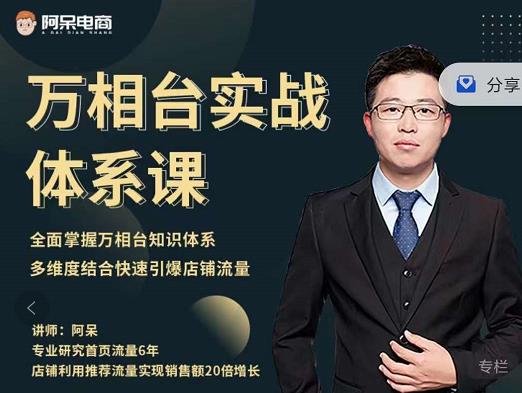 阿呆-万相台实战体系课，帮您全面掌握万相台知识体系副业工作-副业资源站-副业项目-创业项目-搞钱项目个人副业工作资源分享