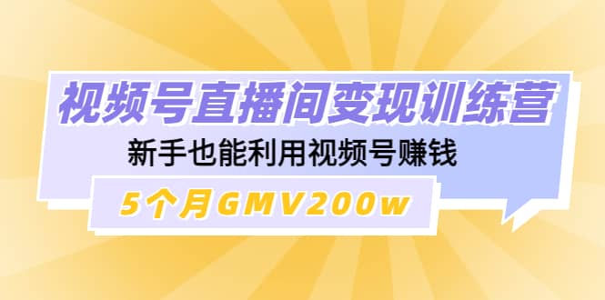 视频号直播间变现训练营副业工作-副业资源站-副业项目-创业项目-搞钱项目个人副业工作资源分享