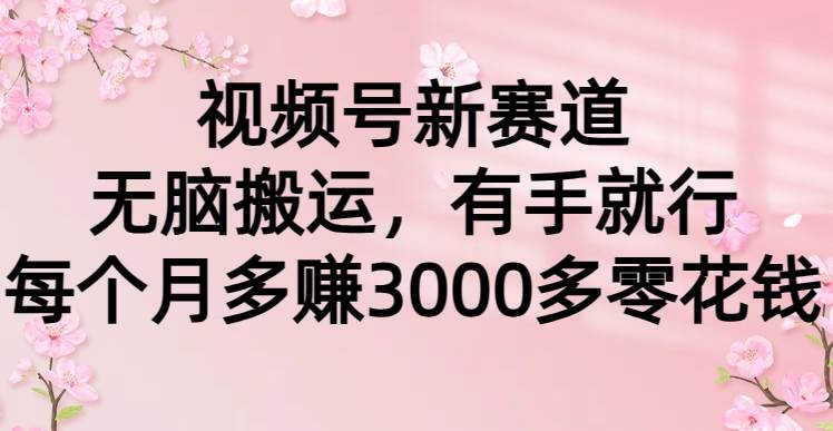 视频号新赛道，无脑搬运，有手就行，每个月多赚3000多零花钱副业工作-副业资源站-副业项目-创业项目-搞钱项目个人副业工作资源分享