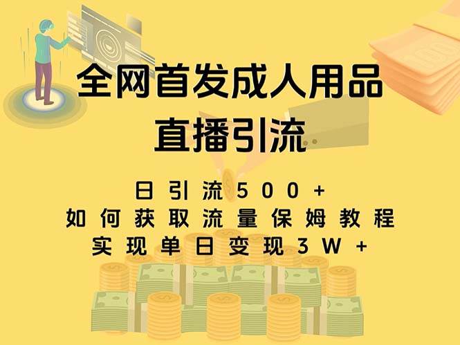 最新全网独创首发，成人用品直播引流获客暴力玩法，单日变现3w保姆级教程副业工作-副业资源站-副业项目-创业项目-搞钱项目个人副业工作资源分享