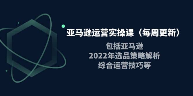 亚马逊运营实操课（每周更新）包括亚马逊2022选品策略解析，综合运营技巧等副业工作-副业资源站-副业项目-创业项目-搞钱项目个人副业工作资源分享