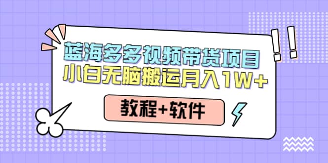 人人都能操作的蓝海多多视频带货项目 小白无脑搬运（教程+软件）副业工作-副业资源站-副业项目-创业项目-搞钱项目个人副业工作资源分享