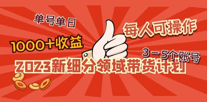 2023新细分领域带货计划：单号单日1000+收益不难，每人可操作3-5个账号副业工作-副业资源站-副业项目-创业项目-搞钱项目个人副业工作资源分享