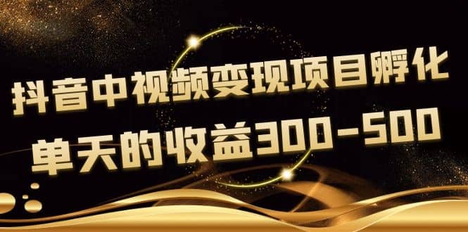 黄岛主《抖音中视频变现项目孵化》单天的收益300-500 操作简单粗暴副业工作-副业资源站-副业项目-创业项目-搞钱项目个人副业工作资源分享