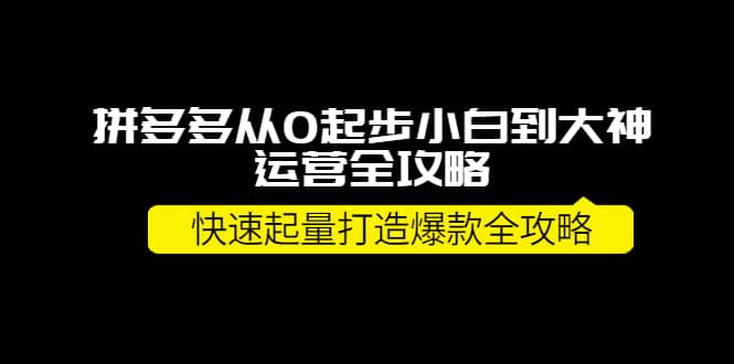 拼多多从0起步小白到大神运营全攻略副业工作-副业资源站-副业项目-创业项目-搞钱项目个人副业工作资源分享