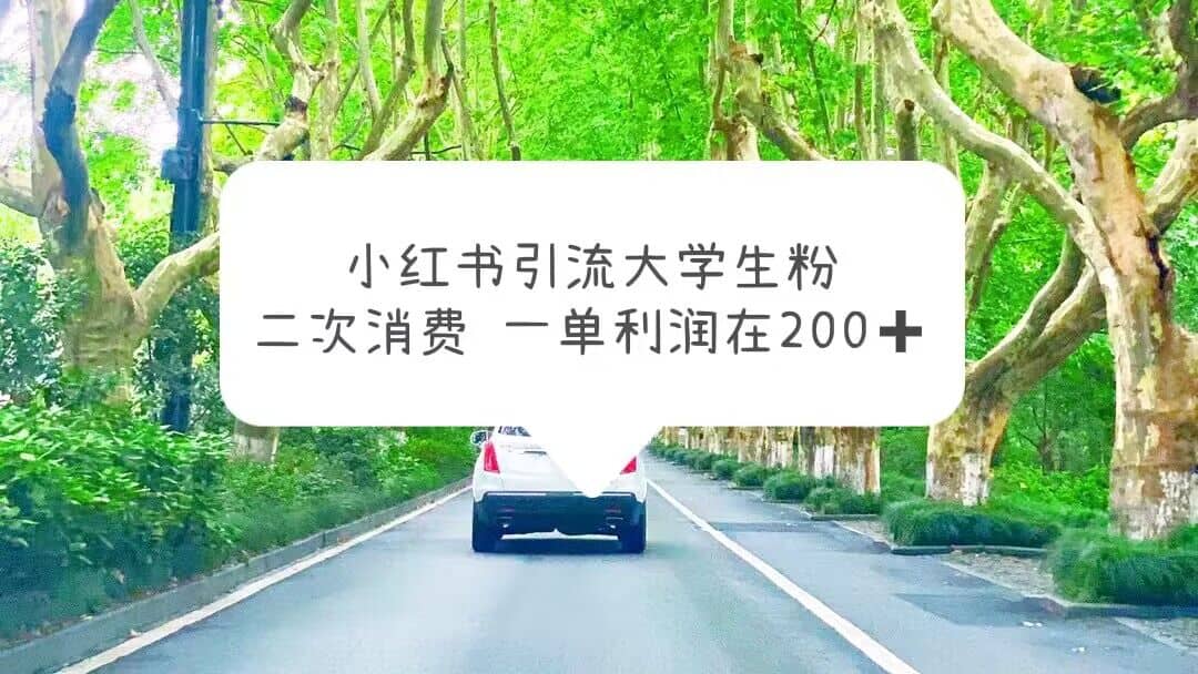 小红书引流大学生粉，变现项目，一单利润在200+（教程+资源）副业工作-副业资源站-副业项目-创业项目-搞钱项目个人副业工作资源分享