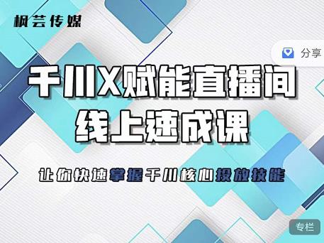 枫芸传媒-线上千川提升课，提升千川认知，提升千川投放效果副业工作-副业资源站-副业项目-创业项目-搞钱项目个人副业工作资源分享