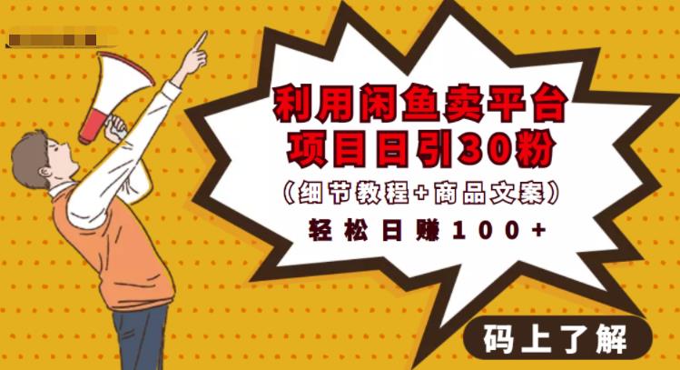 利用闲鱼卖平台项目课程资源日引流30+精准粉丝，轻松日赚100+，积累人脉可实现二次变现（细节教程+商品文案）副业工作-副业资源站-副业项目-创业项目-搞钱项目个人副业工作资源分享