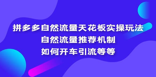 拼多多自然流量天花板实操玩法：自然流量推荐机制，如何开车引流等等副业工作-副业资源站-副业项目-创业项目-搞钱项目个人副业工作资源分享