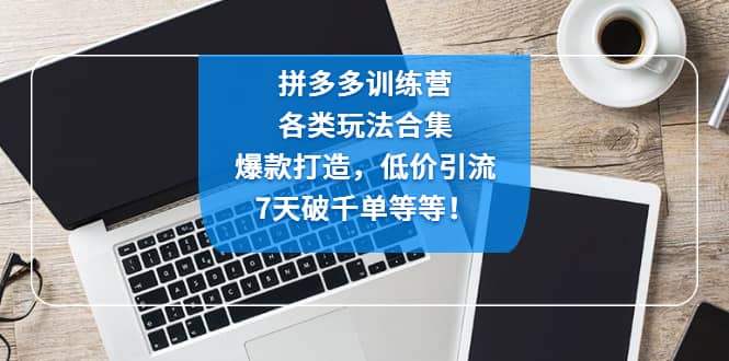 拼多多训练营：各玩法合集，爆款打造，低价引流，7天破千单等等副业工作-副业资源站-副业项目-创业项目-搞钱项目个人副业工作资源分享
