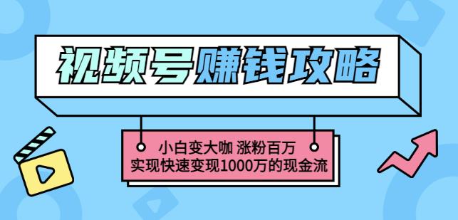 玩转微信视频号赚钱：小白变大咖涨粉百万实现快速变现1000万的现金流副业工作-副业资源站-副业项目-创业项目-搞钱项目个人副业工作资源分享