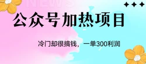 冷门公众号加热项目，一单利润300+副业工作-副业资源站-副业项目-创业项目-搞钱项目个人副业工作资源分享