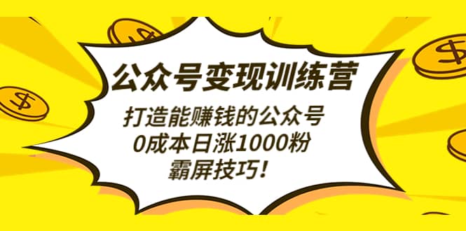 公众号变现训练营（第3期）副业工作-副业资源站-副业项目-创业项目-搞钱项目个人副业工作资源分享