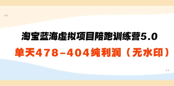 淘宝蓝海虚拟项目陪跑训练营5.0：单天478纯利润（无水印）副业工作-副业资源站-副业项目-创业项目-搞钱项目个人副业工作资源分享