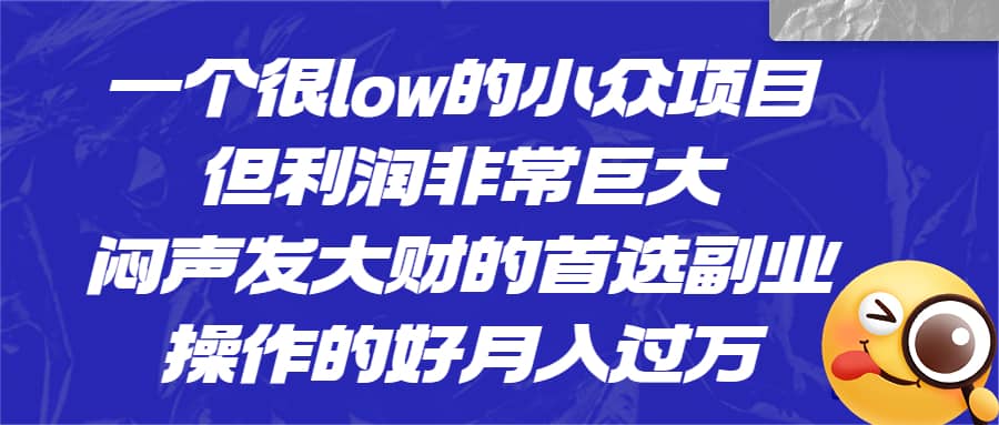 一个很low的小众项目，但利润非常巨大，闷声发大财的首选副业，月入过万副业工作-副业资源站-副业项目-创业项目-搞钱项目个人副业工作资源分享