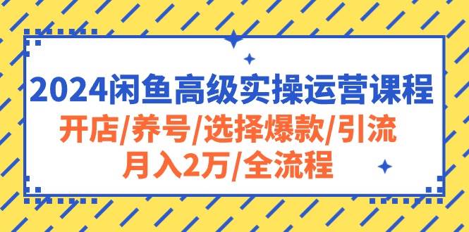 2024闲鱼高级实操运营课程：开店/养号/选择爆款/引流/月入2万/全流程副业工作-副业资源站-副业项目-创业项目-搞钱项目个人副业工作资源分享