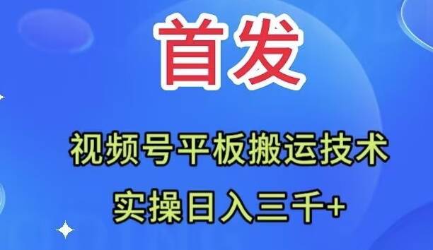 全网首发：视频号平板搬运技术，实操日入三千＋副业工作-副业资源站-副业项目-创业项目-搞钱项目个人副业工作资源分享