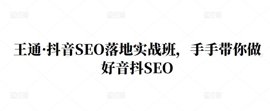 王通·抖音SEO落地实战班，手‬手带你做好音抖‬‬SEO副业工作-副业资源站-副业项目-创业项目-搞钱项目个人副业工作资源分享