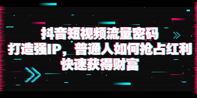 抖音短视频流量密码：打造强IP，普通人如何抢占红利，快速获得财富副业工作-副业资源站-副业项目-创业项目-搞钱项目个人副业工作资源分享