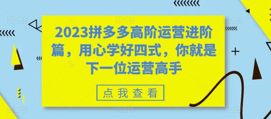 2023拼多多高阶运营进阶篇，用心学好四式，你就是下一位运营高手副业工作-副业资源站-副业项目-创业项目-搞钱项目个人副业工作资源分享