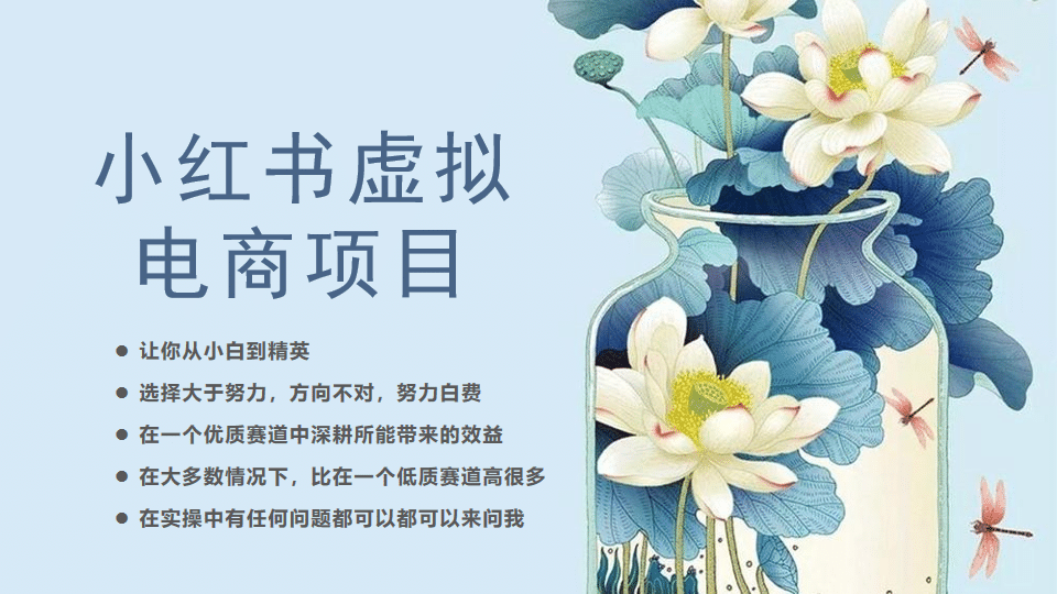小红书虚拟电商从0到1，让你从小白到精英（20节实操课程）副业工作-副业资源站-副业项目-创业项目-搞钱项目个人副业工作资源分享