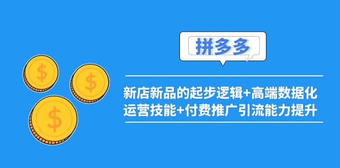 2022拼多多：新店新品的起步逻辑+高端数据化运营技能+付费推广引流能力提升副业工作-副业资源站-副业项目-创业项目-搞钱项目个人副业工作资源分享