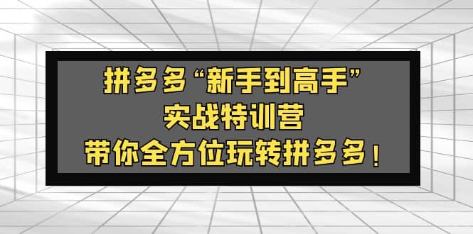 拼多多“新手到高手”实战特训营：带你全方位玩转拼多多副业工作-副业资源站-副业项目-创业项目-搞钱项目个人副业工作资源分享