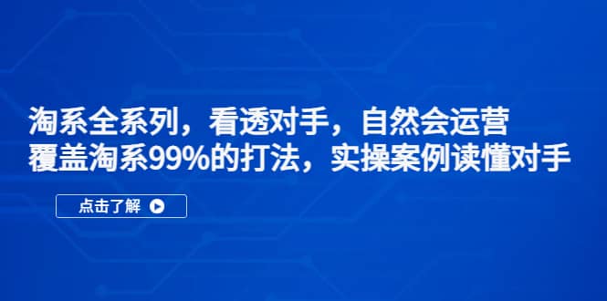 淘系全系列，看透对手，自然会运营，覆盖淘系99%·打法，实操案例读懂对手副业工作-副业资源站-副业项目-创业项目-搞钱项目个人副业工作资源分享