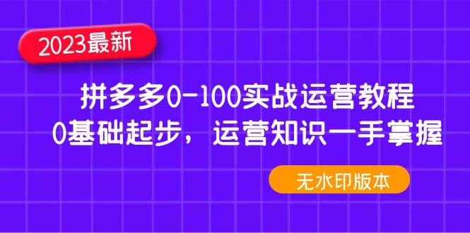 2023拼多多0-100实战运营教程，0基础起步，运营知识一手掌握（无水印）副业工作-副业资源站-副业项目-创业项目-搞钱项目个人副业工作资源分享