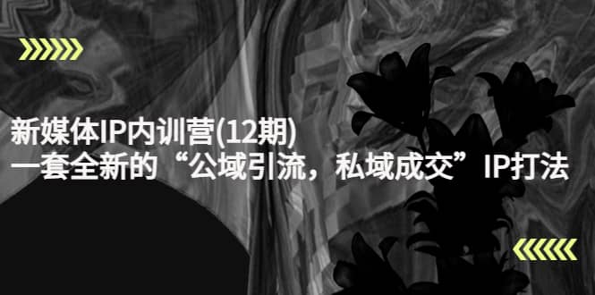 新媒体IP内训营(12期)，一套全新的“公域引流，私域成交”IP打法，直接带走副业工作-副业资源站-副业项目-创业项目-搞钱项目个人副业工作资源分享
