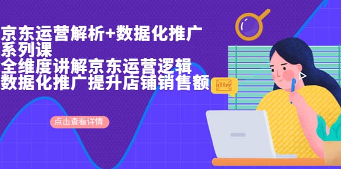 京东运营解析与数据化推广系列课，全维度讲解京东运营逻辑+数据化推广提升店铺销售额副业工作-副业资源站-副业项目-创业项目-搞钱项目个人副业工作资源分享