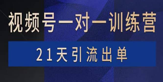 视频号训练营：带货，涨粉，直播，游戏，四大变现新方向，21天引流出单副业工作-副业资源站-副业项目-创业项目-搞钱项目个人副业工作资源分享