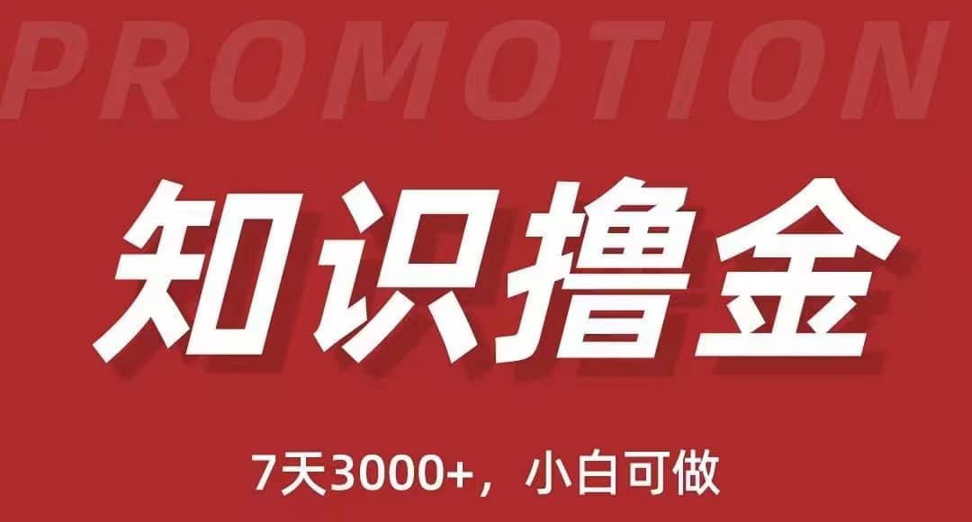 抖音知识撸金项目：执行力强当天见收益(教程+资料)副业工作-副业资源站-副业项目-创业项目-搞钱项目个人副业工作资源分享