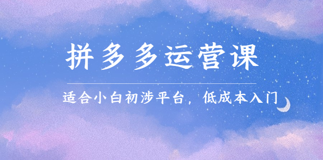 拼多多运营课，适合小白初涉平台，低成本入门副业工作-副业资源站-副业项目-创业项目-搞钱项目个人副业工作资源分享