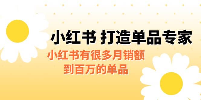 某公众号付费文章《小红书 打造单品专家》小红书有很多月销额到百万的单品副业工作-副业资源站-副业项目-创业项目-搞钱项目个人副业工作资源分享
